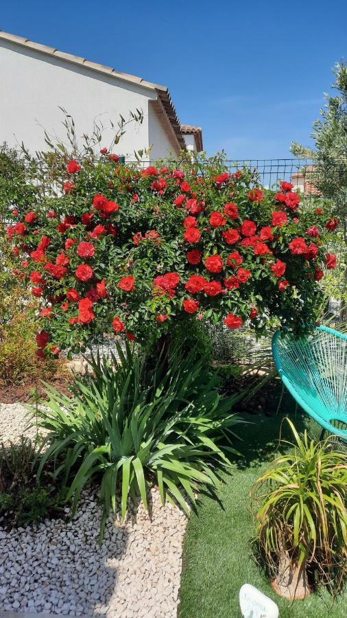D'hotes Dans Diane Bed & Breakfast La Londe-les-Maures