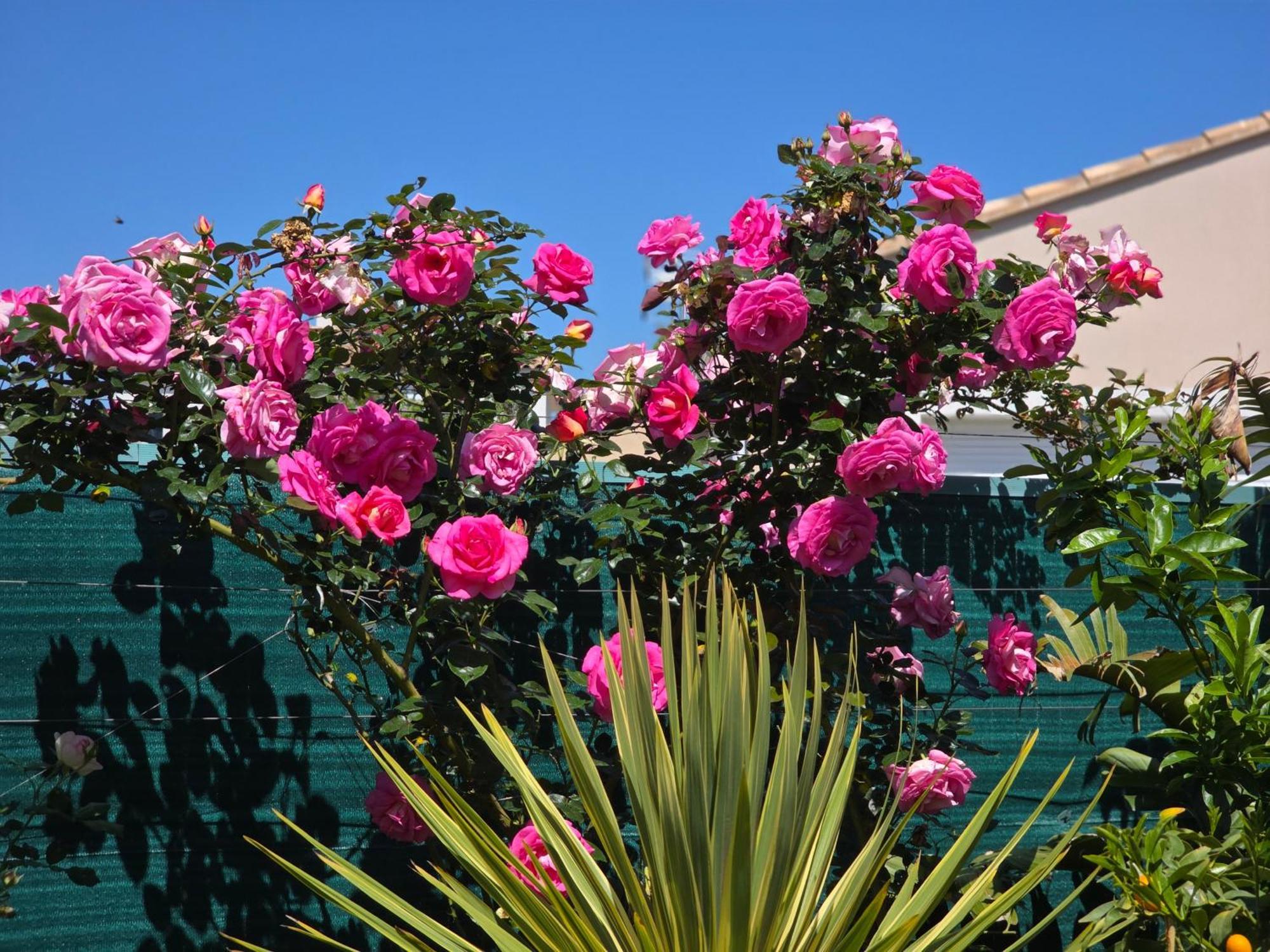 D'hotes Dans Diane Bed & Breakfast