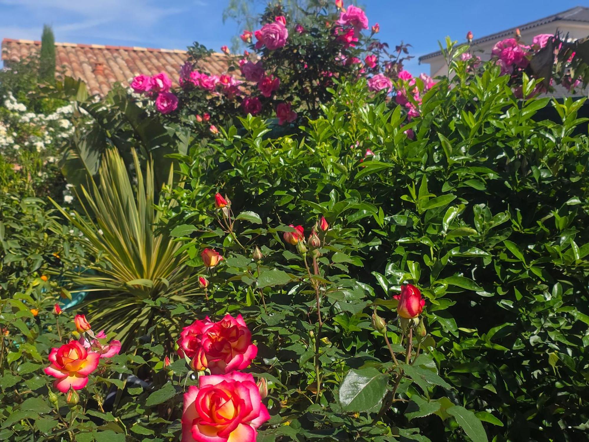 D'hotes Dans Diane La Londe-les-Maures