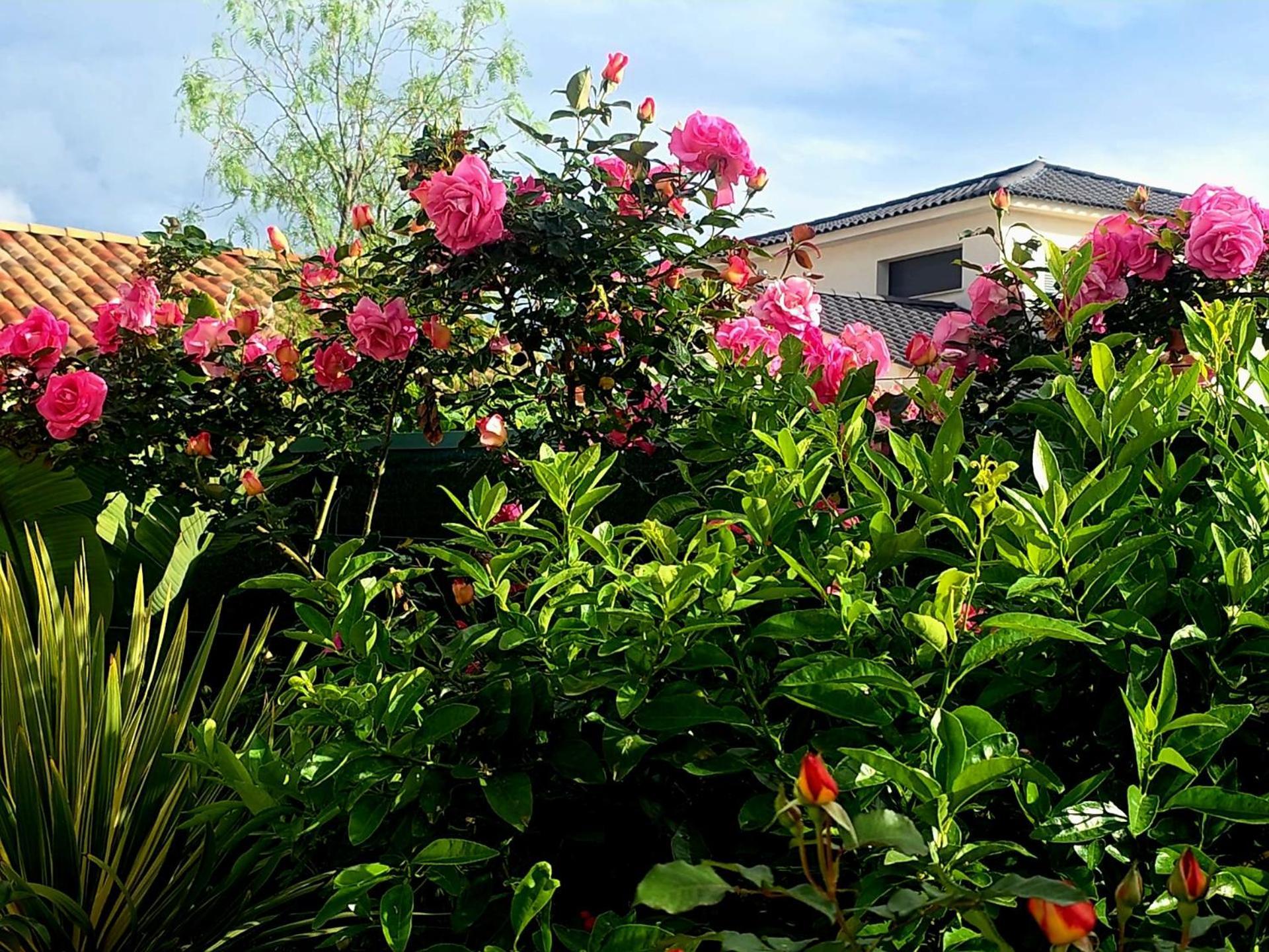 Bed and breakfast D'hotes Dans Diane *