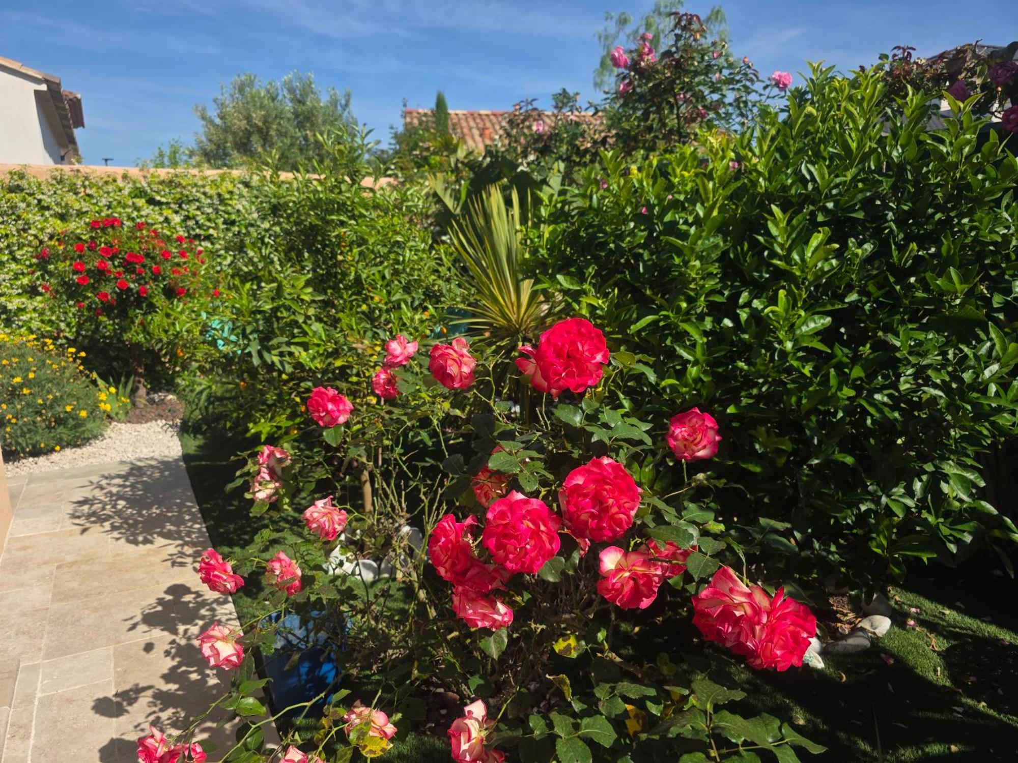 D'hotes Dans Diane