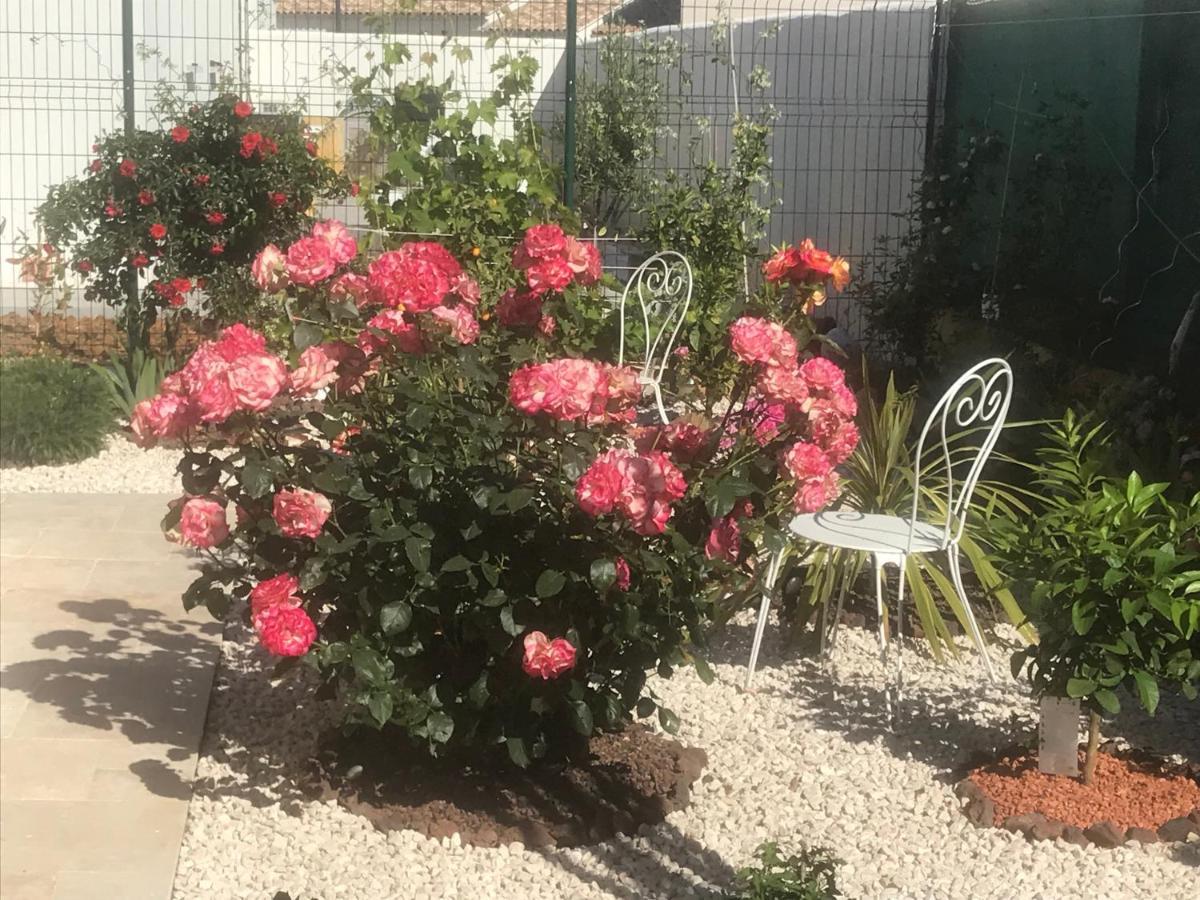 Bed & Breakfast D'hotes Dans Diane *