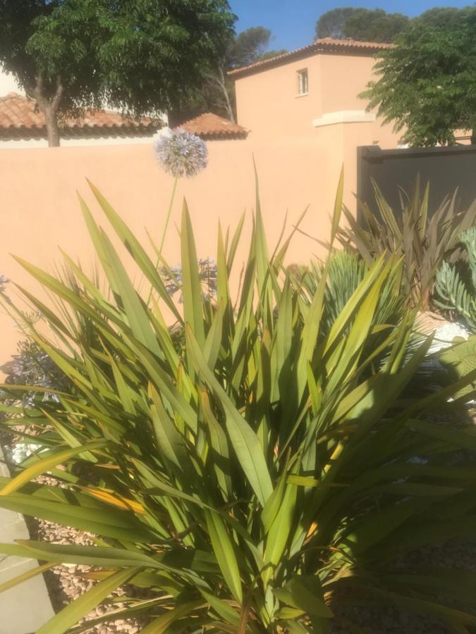 D'hotes Dans Diane Bed & Breakfast