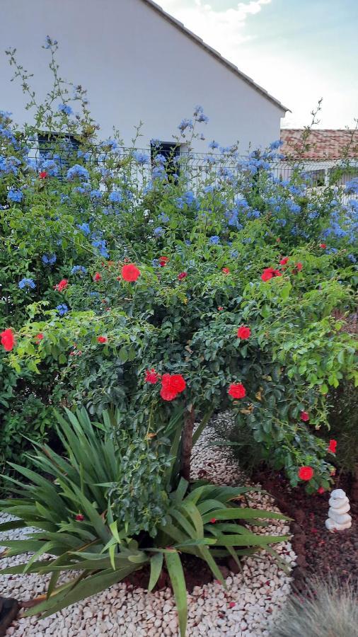 Bed & Breakfast D'hotes Dans Diane *