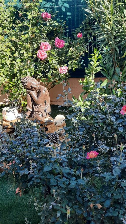 Bed & Breakfast D'hotes Dans Diane