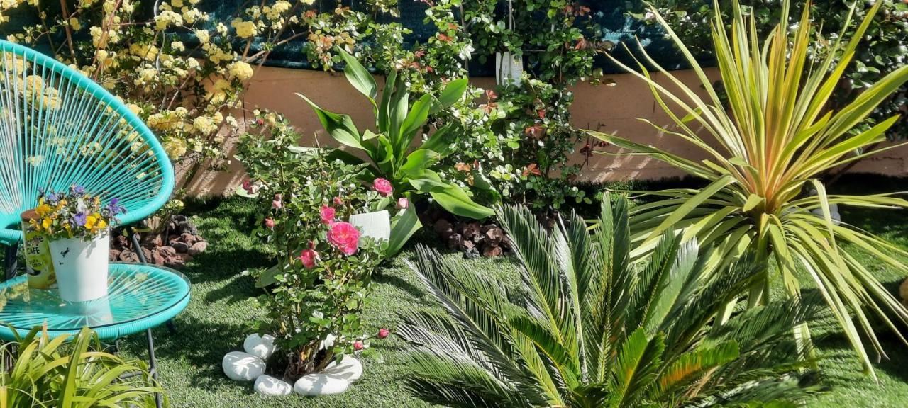 D'hotes Dans Diane Bed & Breakfast La Londe-les-Maures