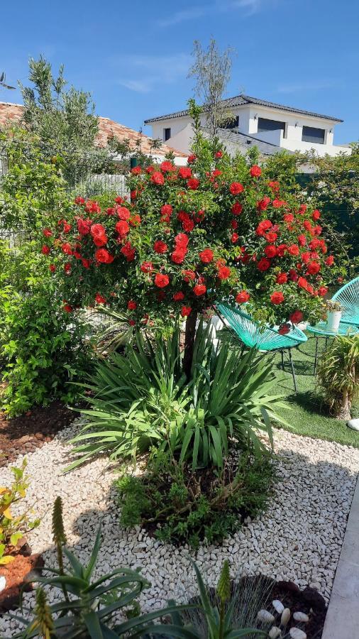 Bed & Breakfast D'hotes Dans Diane La Londe-les-Maures