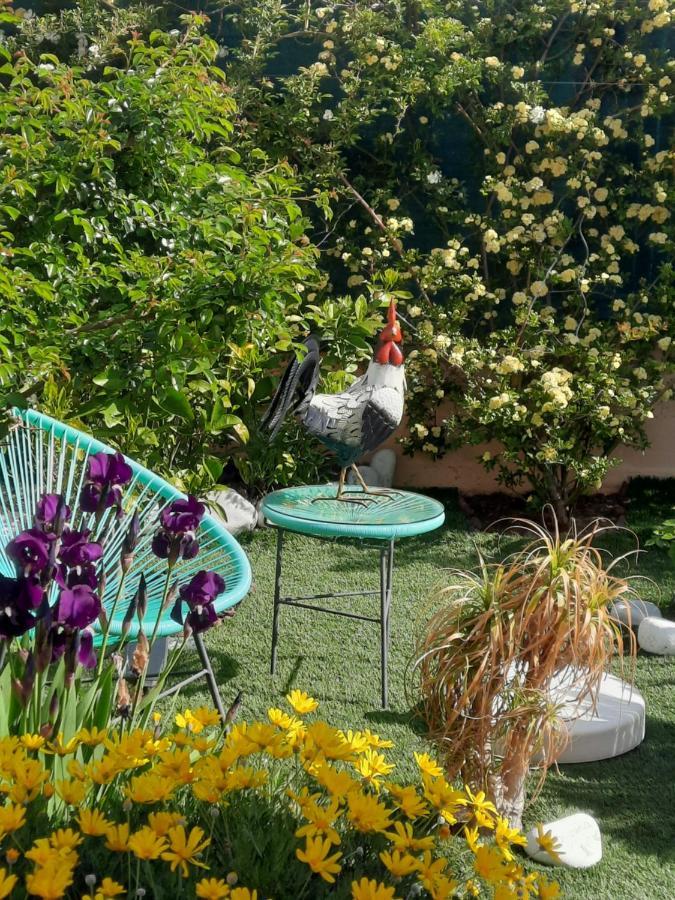 Bed & Breakfast D'hotes Dans Diane *